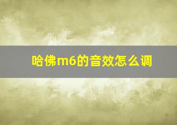 哈佛m6的音效怎么调