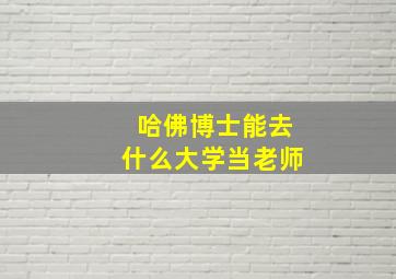 哈佛博士能去什么大学当老师