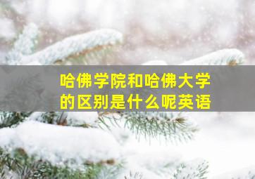 哈佛学院和哈佛大学的区别是什么呢英语