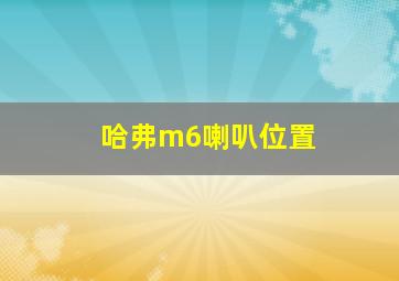 哈弗m6喇叭位置