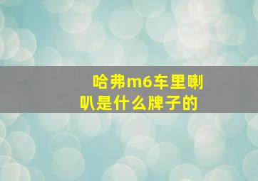 哈弗m6车里喇叭是什么牌子的