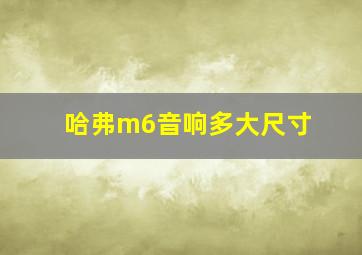 哈弗m6音响多大尺寸