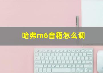 哈弗m6音箱怎么调