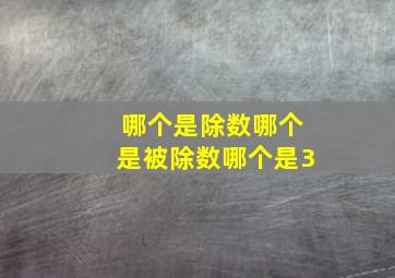 哪个是除数哪个是被除数哪个是3