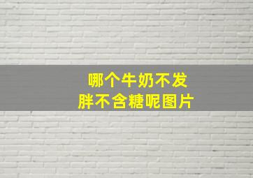 哪个牛奶不发胖不含糖呢图片