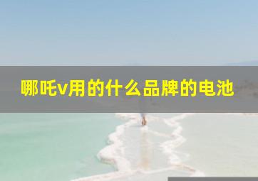 哪吒v用的什么品牌的电池