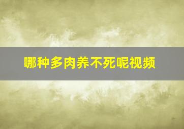 哪种多肉养不死呢视频