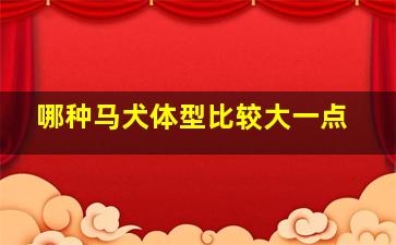 哪种马犬体型比较大一点