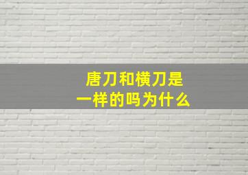 唐刀和横刀是一样的吗为什么