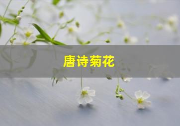 唐诗菊花