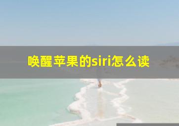 唤醒苹果的siri怎么读