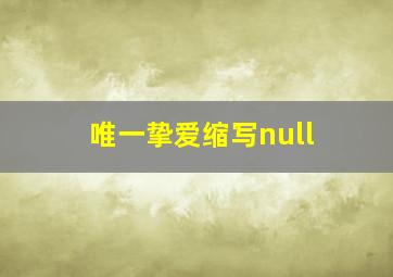 唯一挚爱缩写null