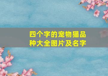 四个字的宠物猫品种大全图片及名字