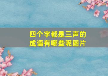 四个字都是三声的成语有哪些呢图片