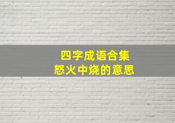 四字成语合集怒火中烧的意思