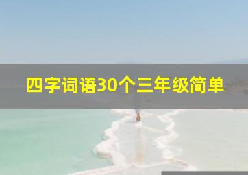 四字词语30个三年级简单