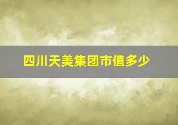 四川天美集团市值多少