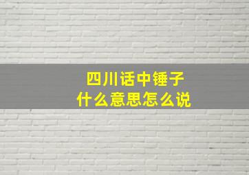 四川话中锤子什么意思怎么说