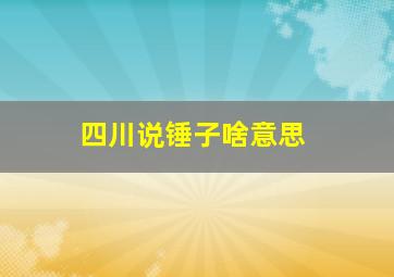 四川说锤子啥意思