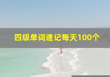 四级单词速记每天100个