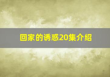 回家的诱惑20集介绍