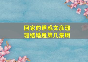 回家的诱惑文彦珊珊结婚是第几集啊