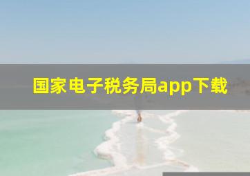 国家电子税务局app下载