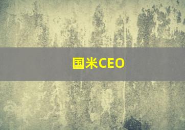 国米CEO