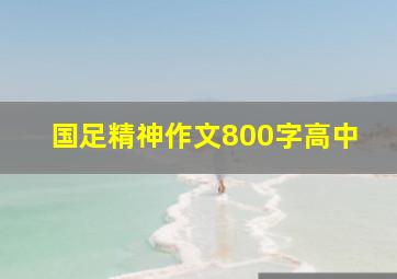 国足精神作文800字高中