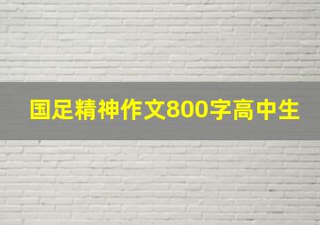 国足精神作文800字高中生