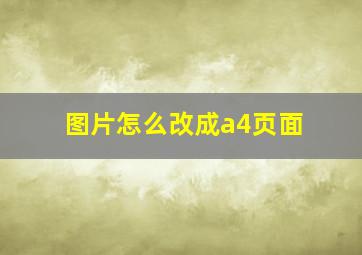 图片怎么改成a4页面