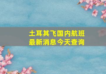 土耳其飞国内航班最新消息今天查询