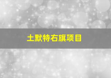 土默特右旗项目