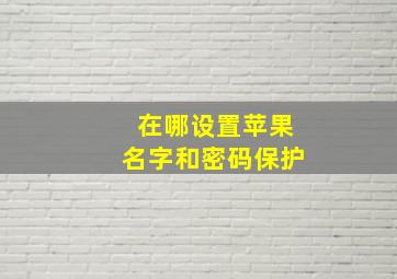 在哪设置苹果名字和密码保护