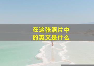 在这张照片中的英文是什么