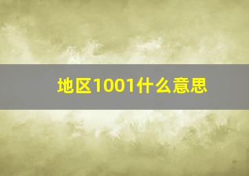 地区1001什么意思