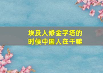 埃及人修金字塔的时候中国人在干嘛