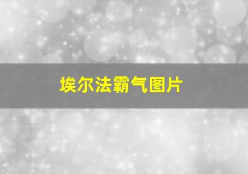 埃尔法霸气图片