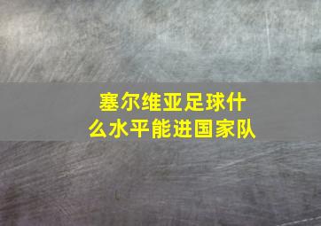 塞尔维亚足球什么水平能进国家队