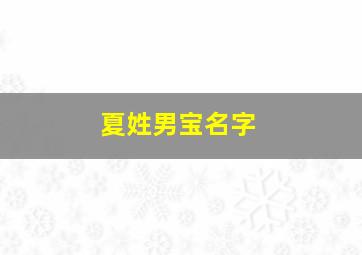 夏姓男宝名字