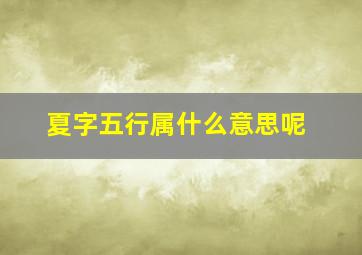 夏字五行属什么意思呢