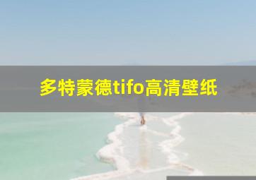 多特蒙德tifo高清壁纸