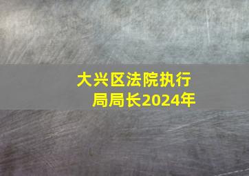 大兴区法院执行局局长2024年