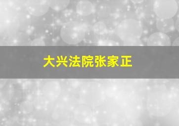 大兴法院张家正