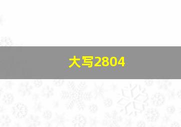 大写2804