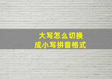 大写怎么切换成小写拼音格式