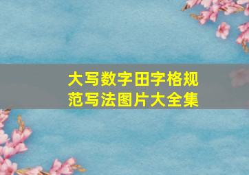 大写数字田字格规范写法图片大全集