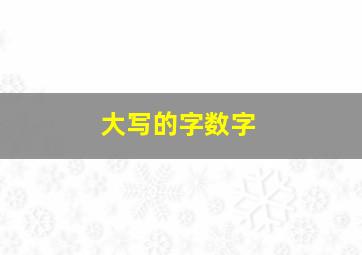 大写的字数字