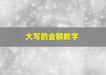 大写的金额数字