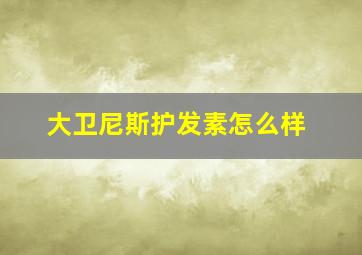 大卫尼斯护发素怎么样